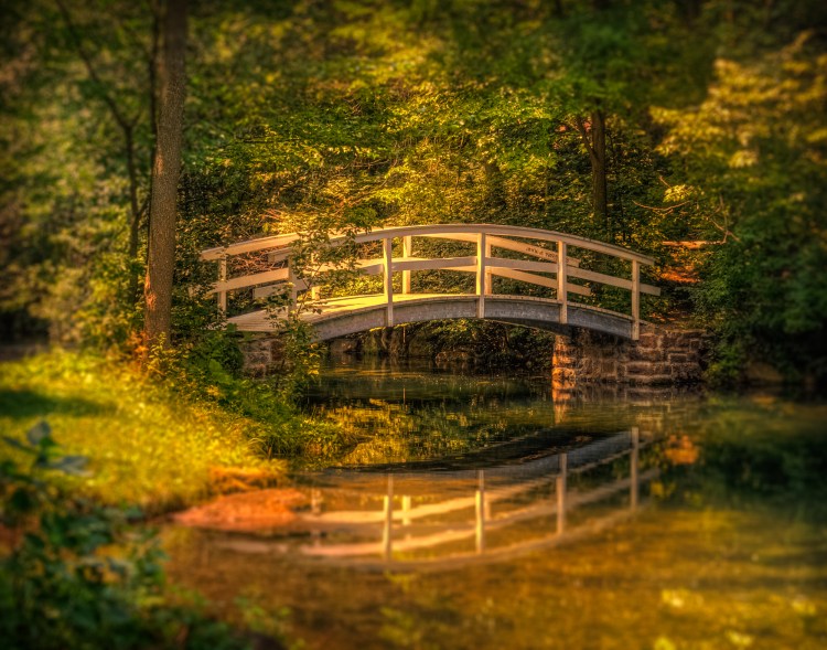 Passerelle romantique à l'Île-Sainte-Hélène